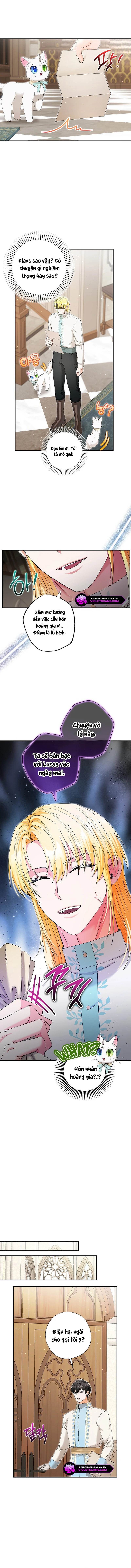 Trở Thành Miêu Nữ Của Hoàng Đế Chapter 40 - Trang 2