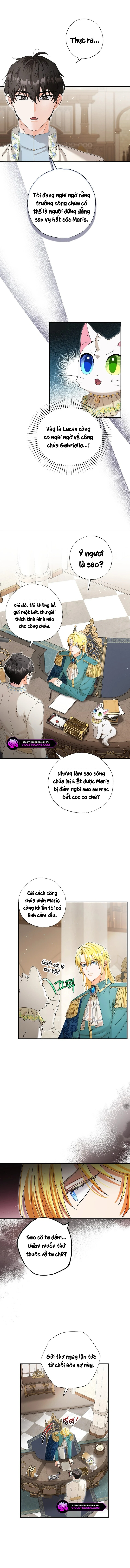 Trở Thành Miêu Nữ Của Hoàng Đế Chapter 40 - Trang 2