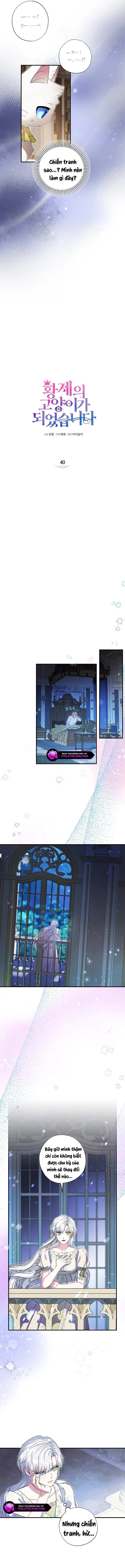Trở Thành Miêu Nữ Của Hoàng Đế Chapter 40 - Trang 2