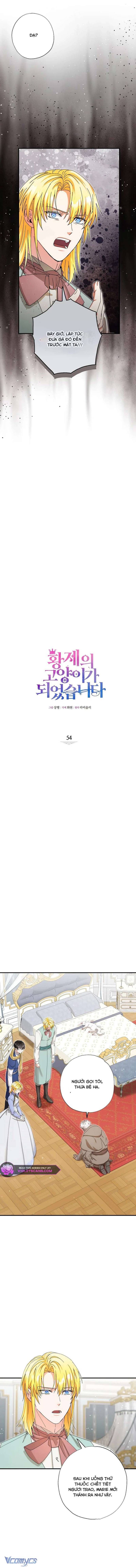 Trở Thành Miêu Nữ Của Hoàng Đế Chapter 54 - Trang 2