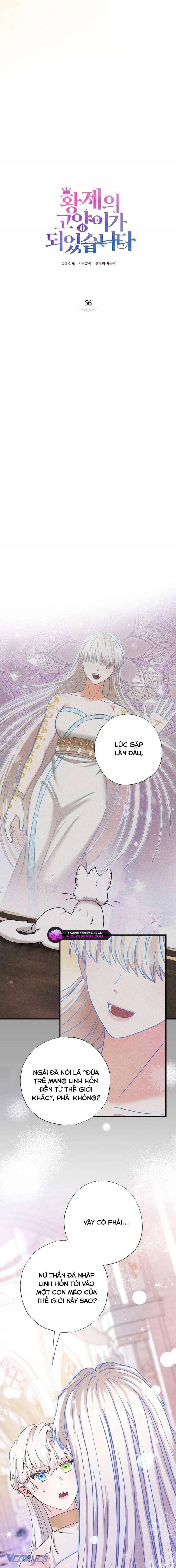 Trở Thành Miêu Nữ Của Hoàng Đế Chapter 56 - Trang 2