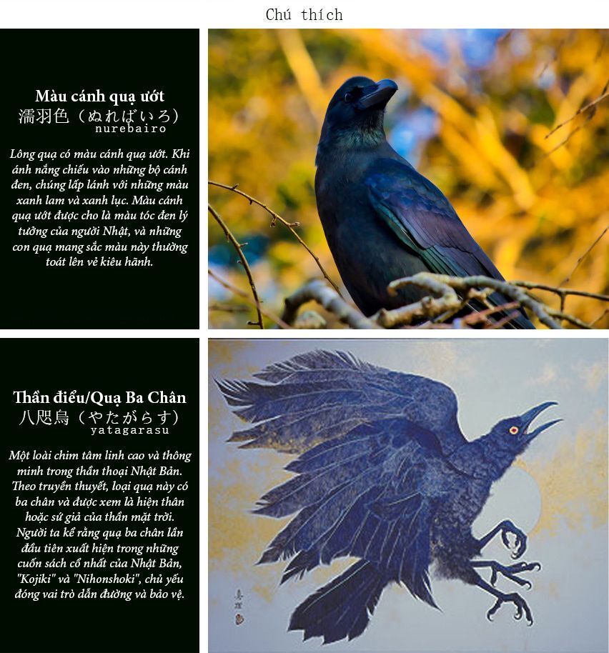 Kokuyou No Hanayome Chapter 11 - Trang 2