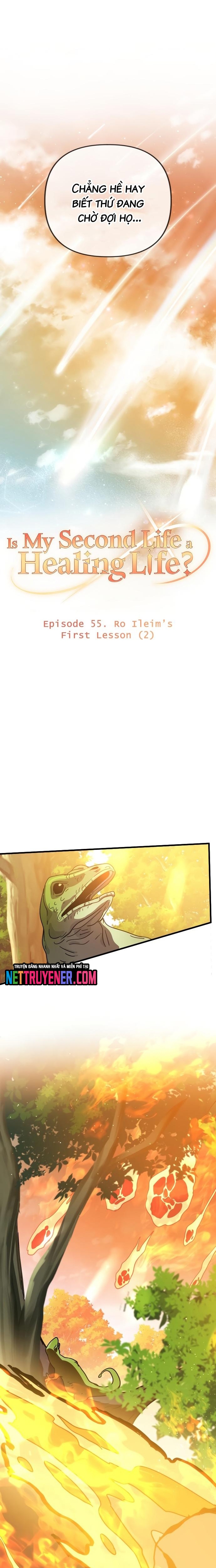 Tôi Sống Cuộc Đời Chữa Lành Ở Kiếp Thứ Hai Chapter 55 - Trang 2
