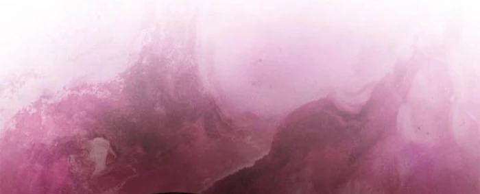 Người Chơi Mới Cấp Tối Đa Chapter 210 - Trang 2