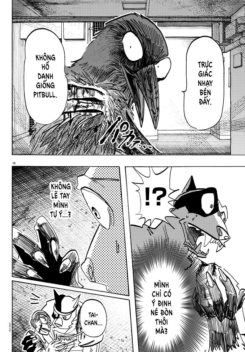 Lý Trí Của Taika Chapter 14 - Trang 2