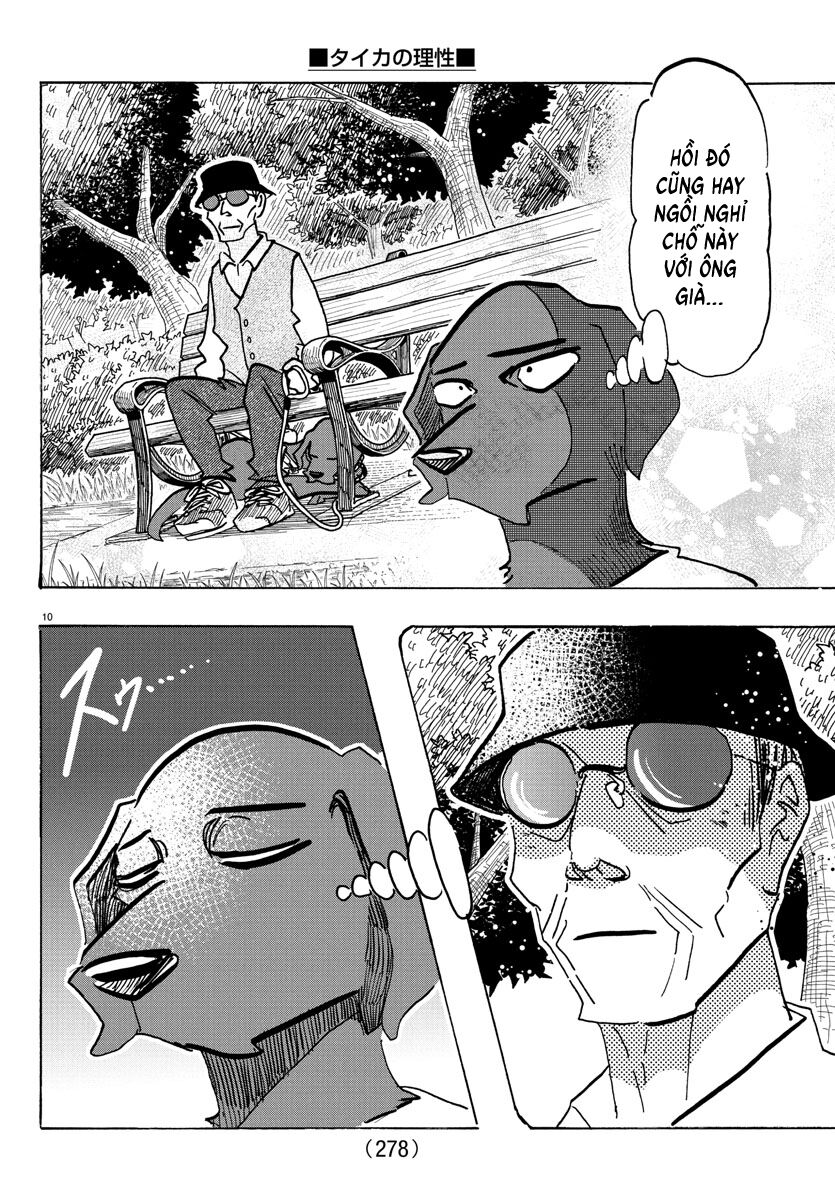Lý Trí Của Taika Chapter 21 - Trang 2