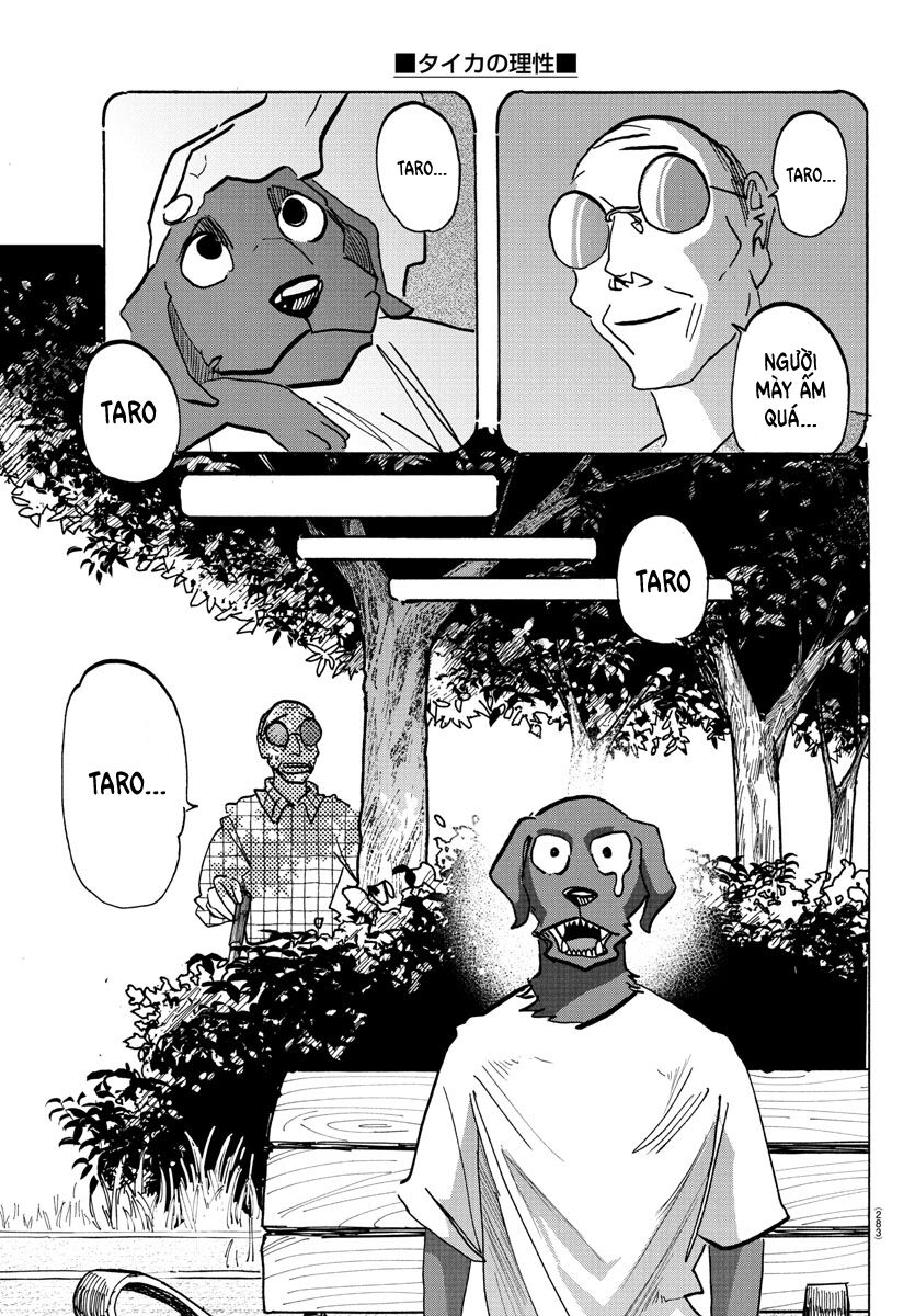 Lý Trí Của Taika Chapter 21 - Trang 2