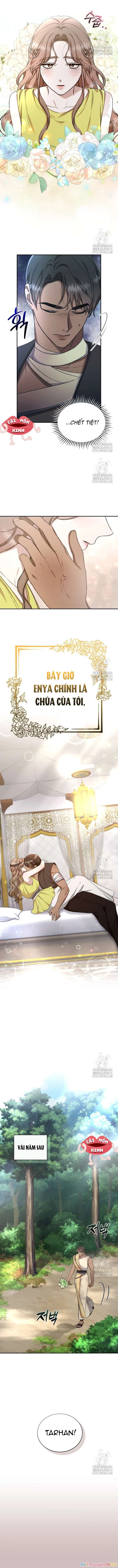 Khu Rừng Hoang Dã Chapter 27 - Trang 2