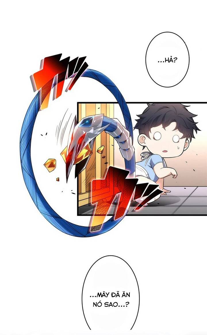 Xếp Hạng Cấp Sss Được Chọn Chapter 1 - Trang 2