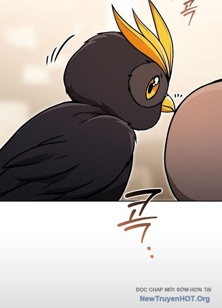 Thiên Tài Phép Thuật Nắm Giữ Khái Niệm Chapter 33 - Trang 2