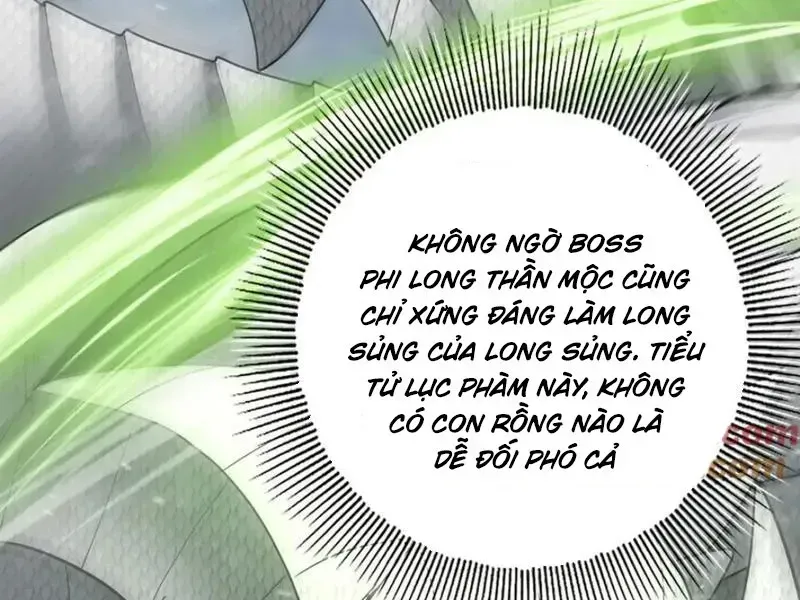 Toàn Dân Chuyển Chức: Ngự Long Sư Là Chức Nghiệp Yếu Nhất? Chapter 62.4 - Trang 2