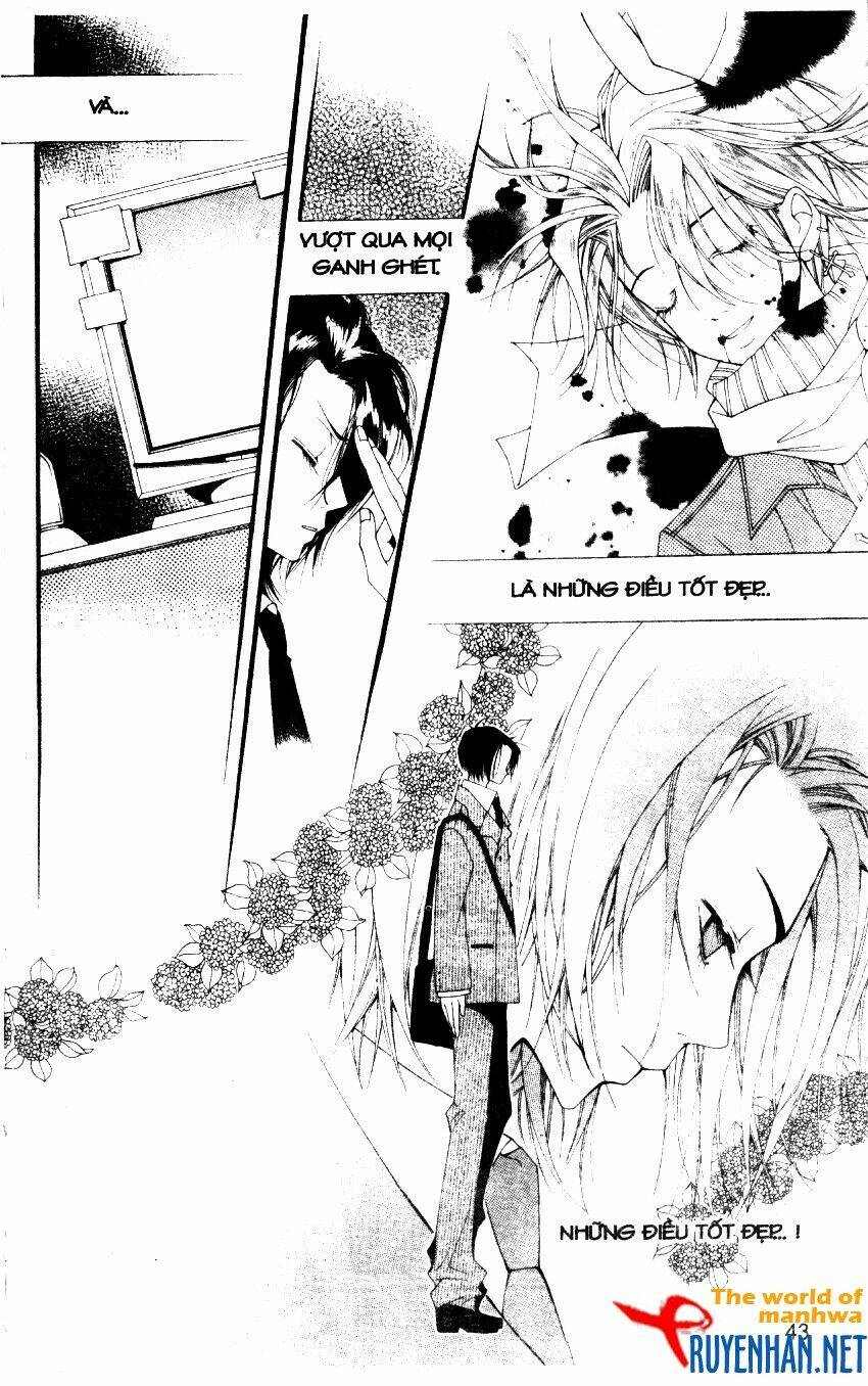 Ngọc Trong Đá-Ace Chapter 21 - Trang 2