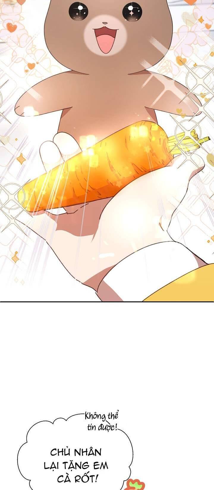 Tôi Đã Vô Tình Quyến Rũ Em Trai Của Nam Chính Chapter 15 - Trang 2