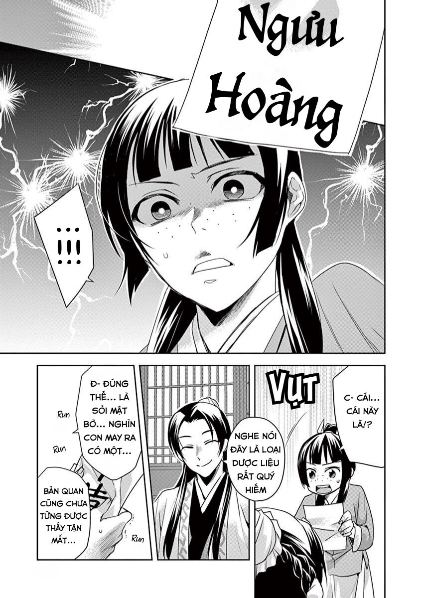 Dược Sư Tự Sự – Sổ Tay Giải Mã Bí Ẩn Chốn Hậu Cung Của Miêu Miêu Chapter 22 - Trang 2