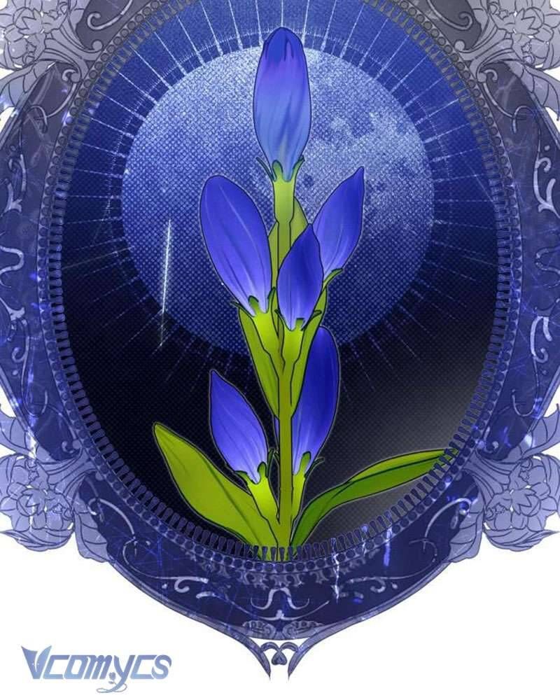 Chuyện Tình Tuyết Phương Bắc Chapter 50 - Trang 2