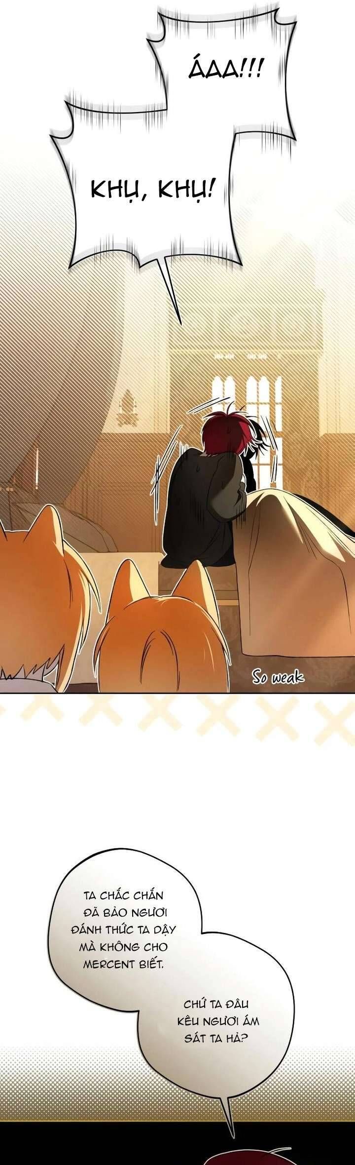 Bạo Chúa Độc Ác Trở Lại Chapter 22 - Trang 2