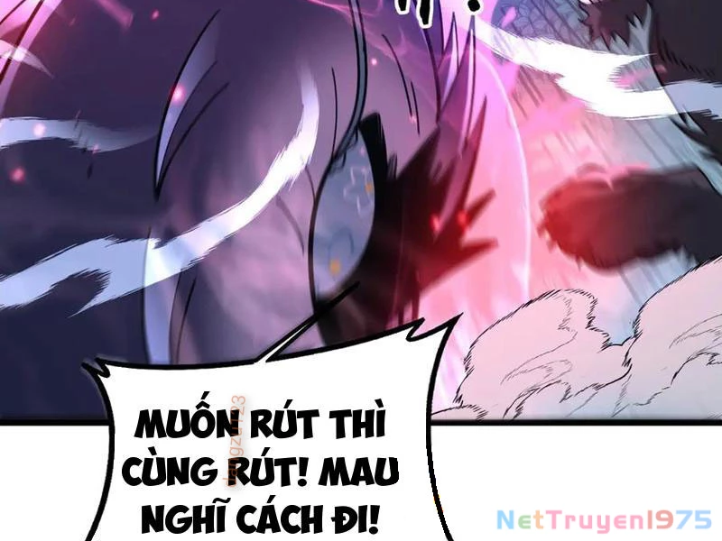 Lão Xà Tu Tiên Truyện Chapter 37 - Trang 2