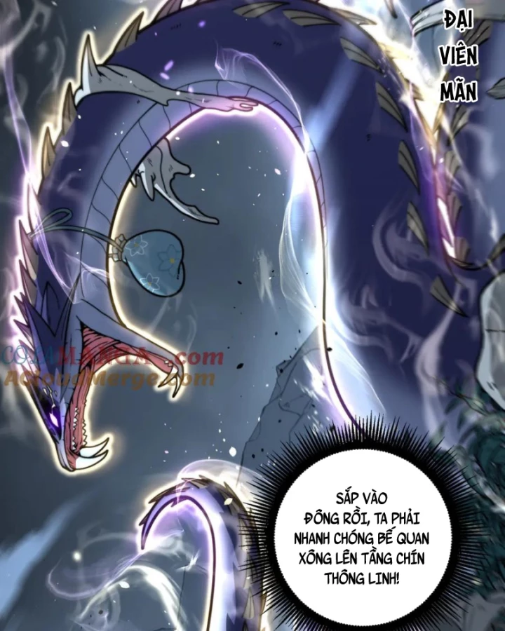 Lão Xà Tu Tiên Truyện Chapter 43 - Trang 2