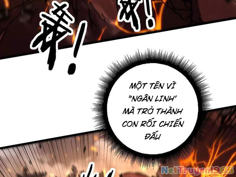 Lão Xà Tu Tiên Truyện Chapter 47 - Trang 2