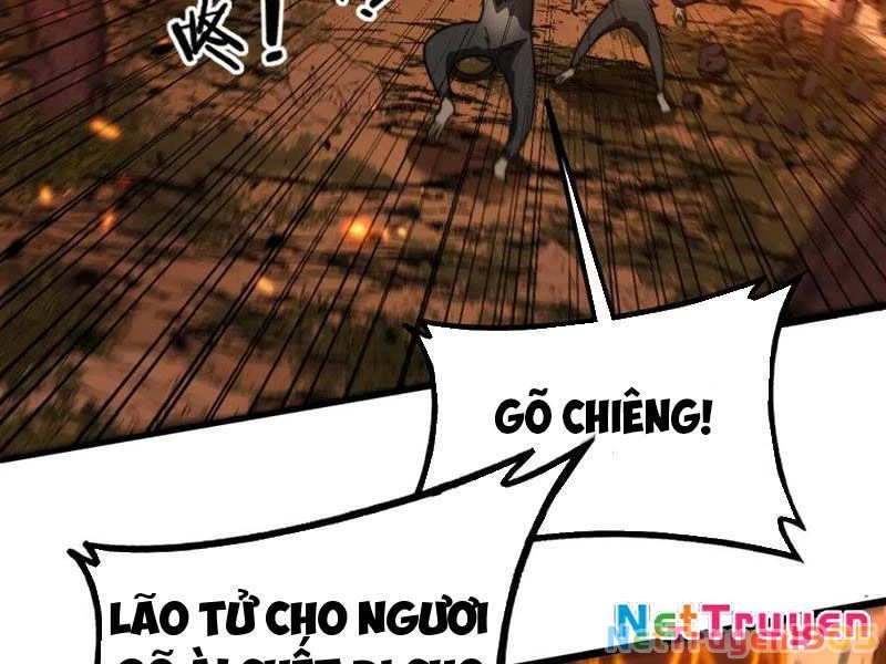 Lão Xà Tu Tiên Truyện Chapter 47 - Trang 2