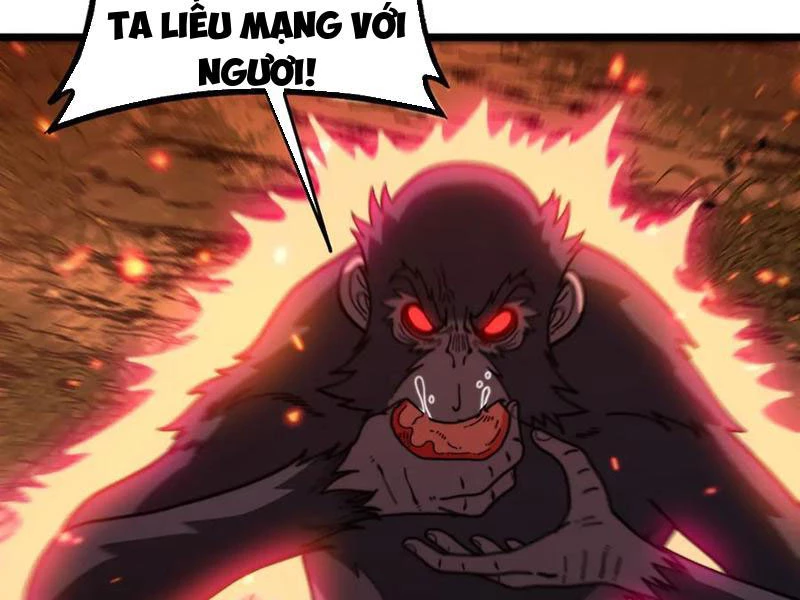 Lão Xà Tu Tiên Truyện Chapter 47 - Trang 2