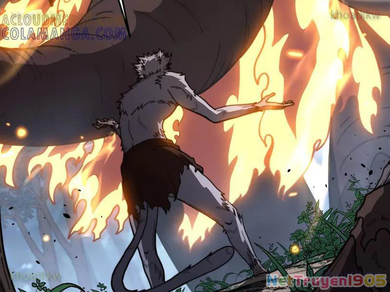 Lão Xà Tu Tiên Truyện Chapter 49 - Trang 2
