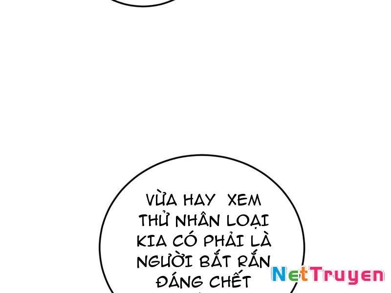 Lão Xà Tu Tiên Truyện Chapter 49 - Trang 2