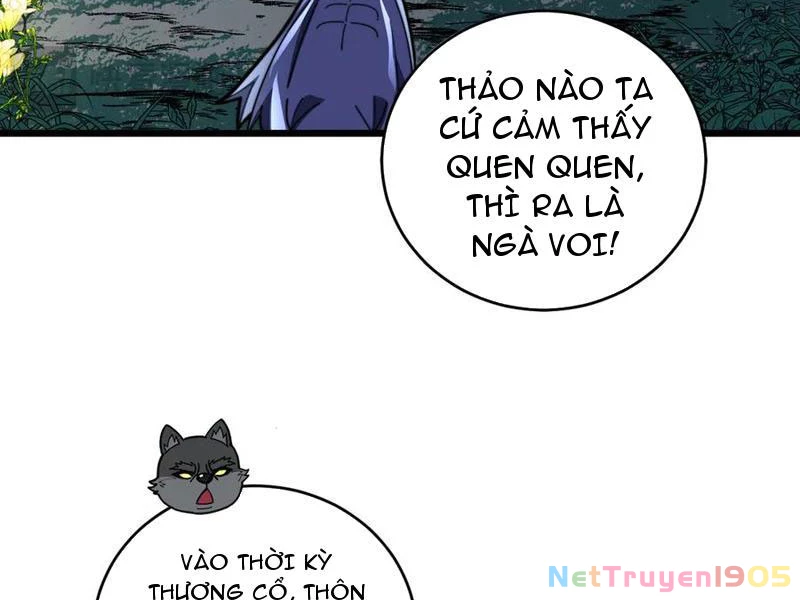 Lão Xà Tu Tiên Truyện Chapter 49 - Trang 2