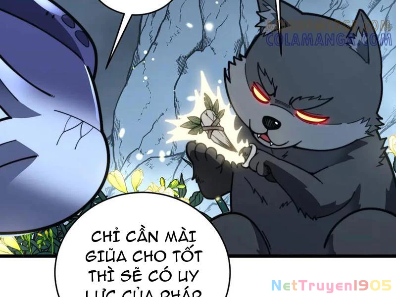 Lão Xà Tu Tiên Truyện Chapter 49 - Trang 2