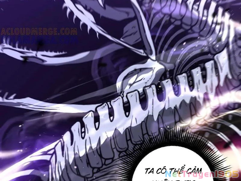 Lão Xà Tu Tiên Truyện Chapter 49 - Trang 2