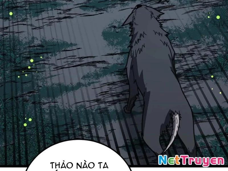 Lão Xà Tu Tiên Truyện Chapter 49 - Trang 2