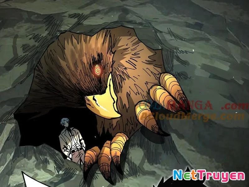 Toàn Cầu Ngự Thú: Ta Có Thể Thấy Lộ Tuyến Tiến Hoá Chapter 13 - Trang 2