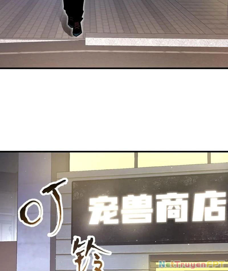 Toàn Cầu Ngự Thú: Ta Có Thể Thấy Lộ Tuyến Tiến Hoá Chapter 14 - Trang 2