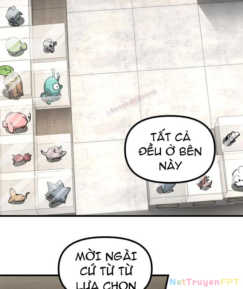 Toàn Cầu Ngự Thú: Ta Có Thể Thấy Lộ Tuyến Tiến Hoá Chapter 14 - Trang 2