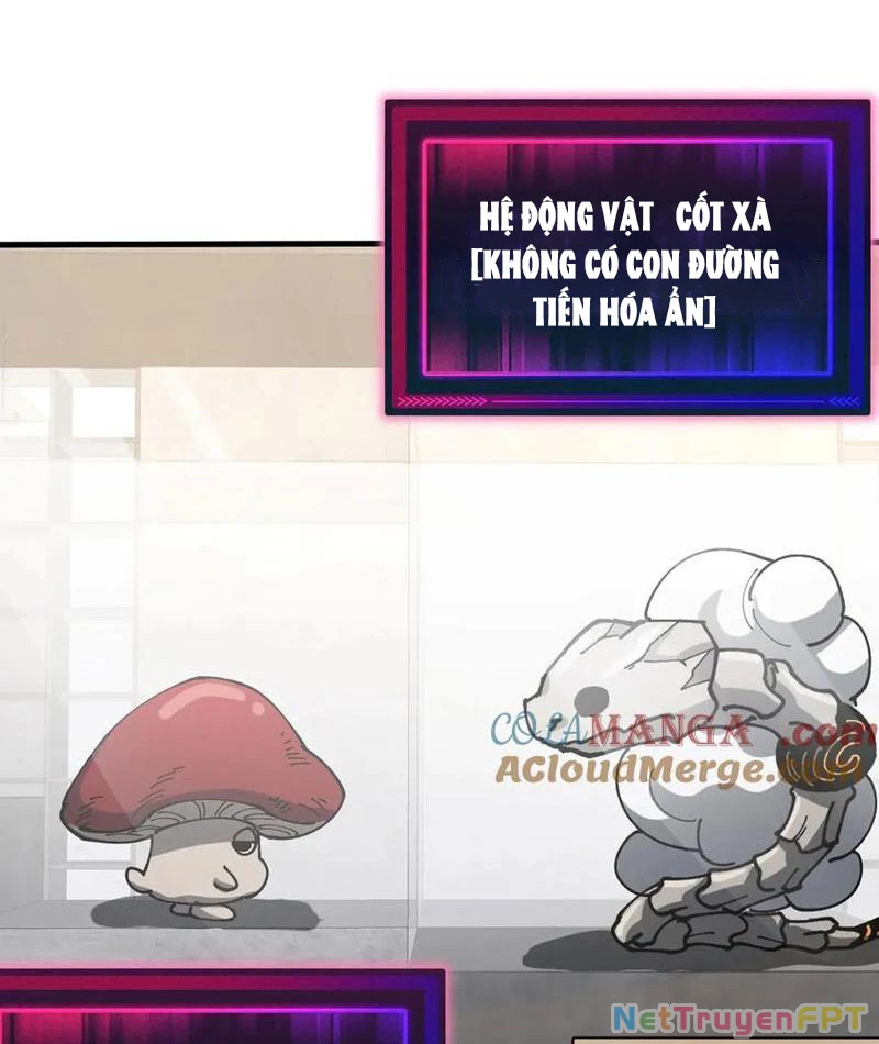 Toàn Cầu Ngự Thú: Ta Có Thể Thấy Lộ Tuyến Tiến Hoá Chapter 14 - Trang 2