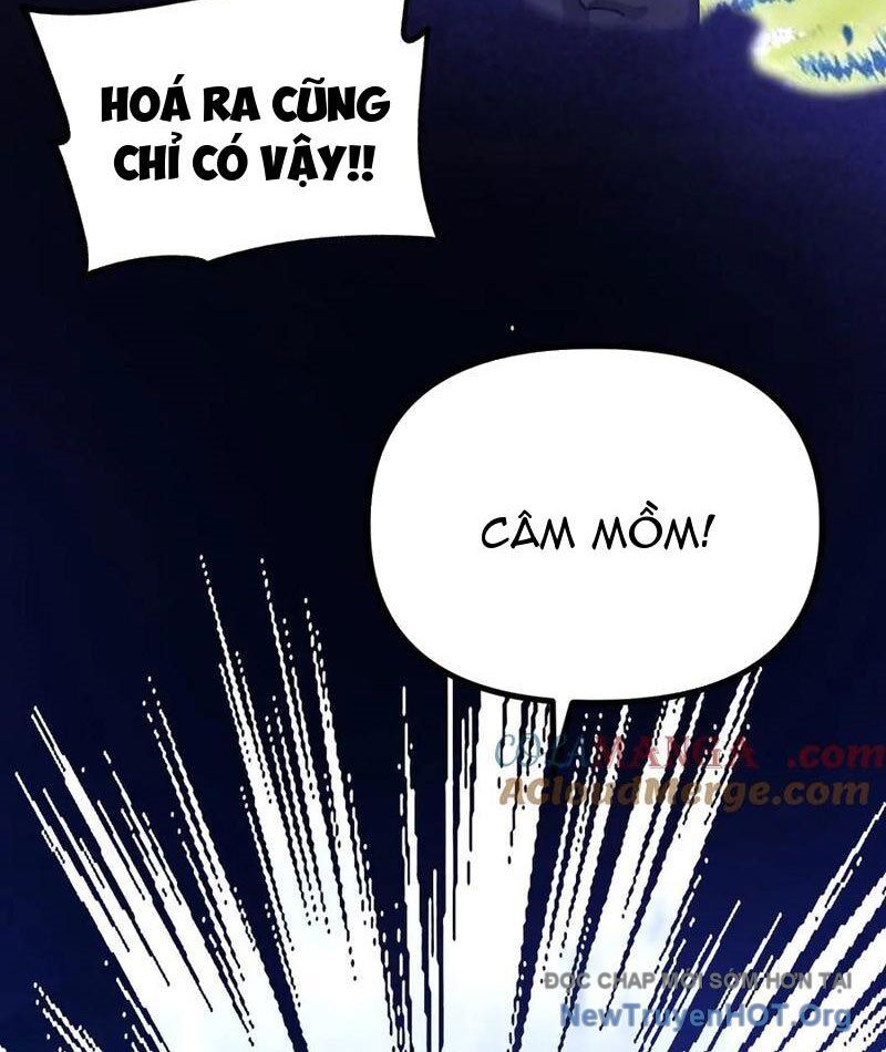 Toàn Cầu Ngự Thú: Ta Có Thể Thấy Lộ Tuyến Tiến Hoá Chapter 27 - Trang 2