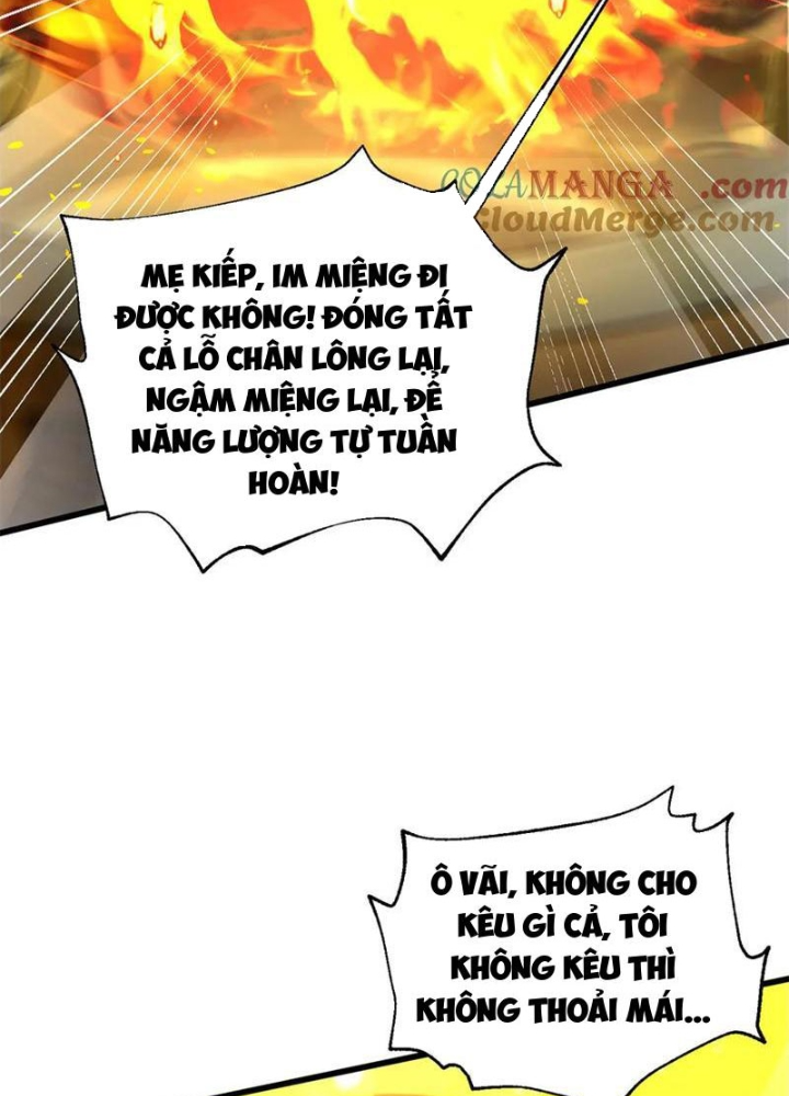 Toàn Cầu Cao Võ Chapter 310 - Trang 2
