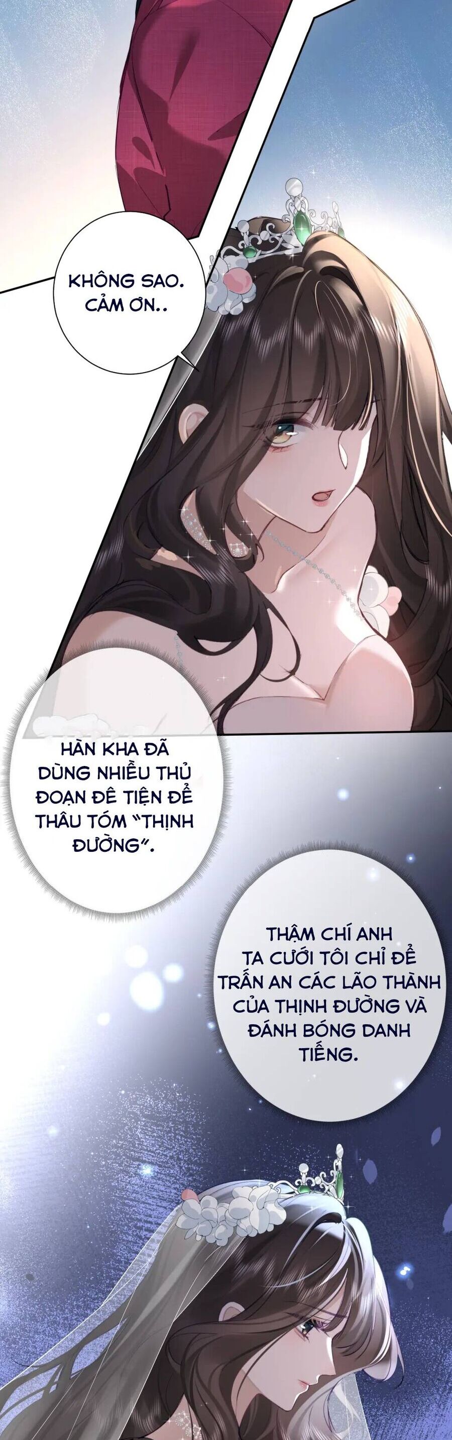 Tổng Tài Cố Chấp Xin Hãy Buông Tha Tôi Chapter 2 - Trang 2