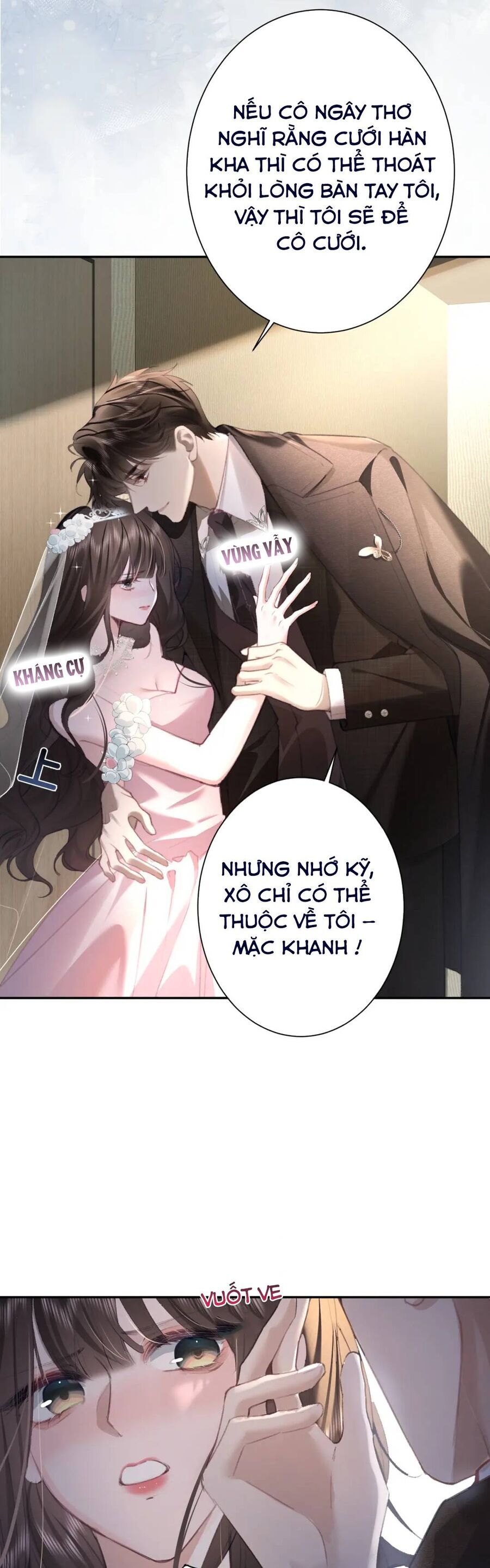 Tổng Tài Cố Chấp Xin Hãy Buông Tha Tôi Chapter 3 - Trang 2
