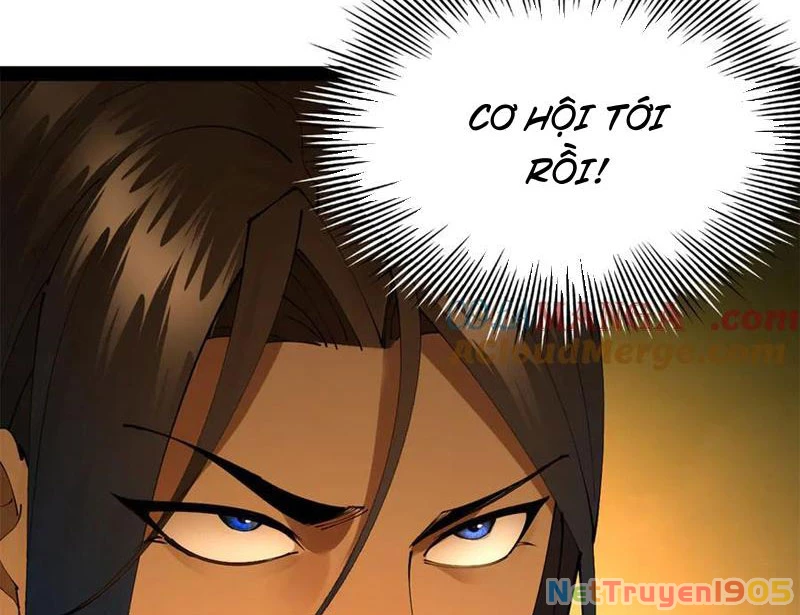 Chàng Rể Mạnh Nhất Lịch Sử Chapter 305 - Trang 2