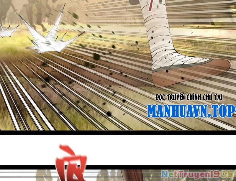 Chàng Rể Mạnh Nhất Lịch Sử Chapter 305 - Trang 2