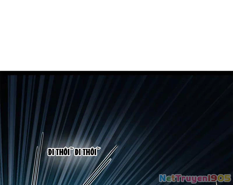 Chàng Rể Mạnh Nhất Lịch Sử Chapter 305 - Trang 2