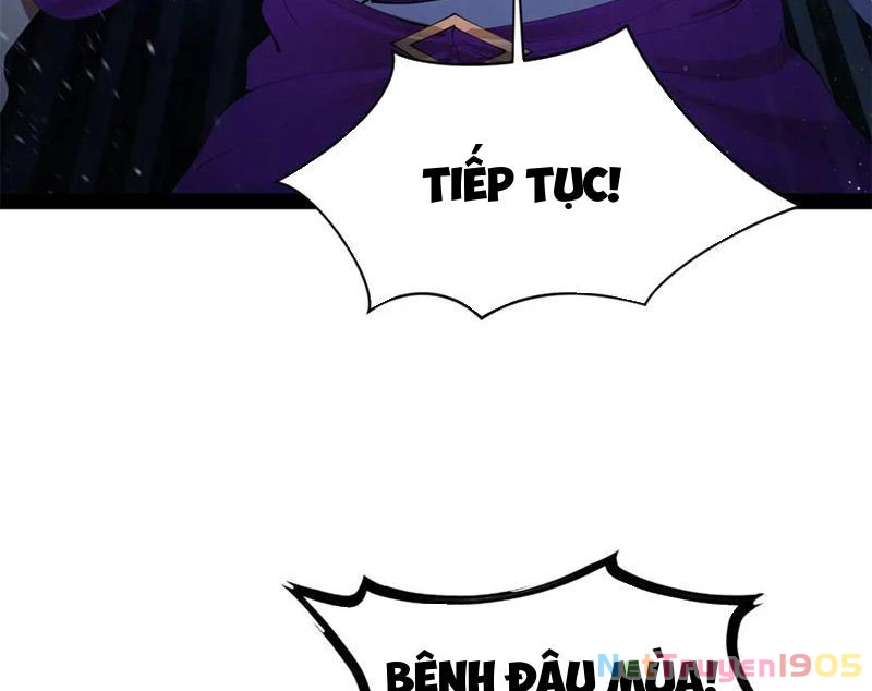 Chàng Rể Mạnh Nhất Lịch Sử Chapter 305 - Trang 2