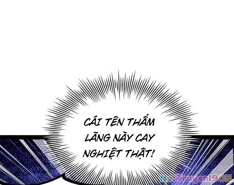 Chàng Rể Mạnh Nhất Lịch Sử Chapter 305 - Trang 2