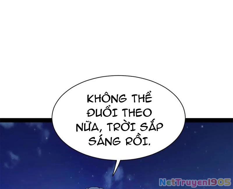 Chàng Rể Mạnh Nhất Lịch Sử Chapter 305 - Trang 2