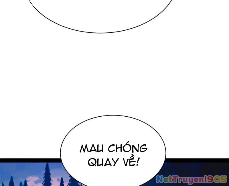 Chàng Rể Mạnh Nhất Lịch Sử Chapter 305 - Trang 2