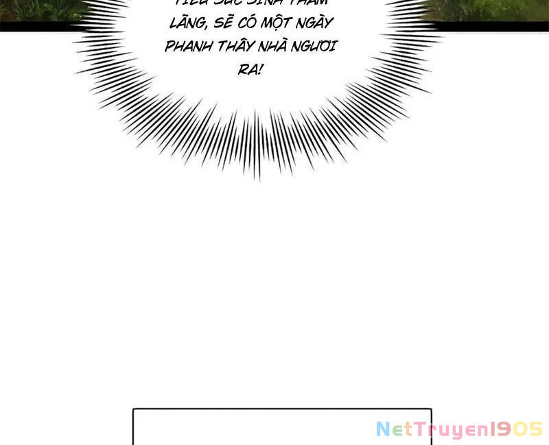 Chàng Rể Mạnh Nhất Lịch Sử Chapter 305 - Trang 2