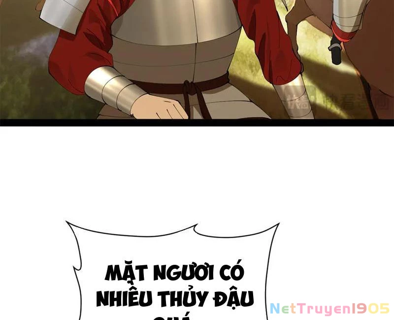 Chàng Rể Mạnh Nhất Lịch Sử Chapter 305 - Trang 2