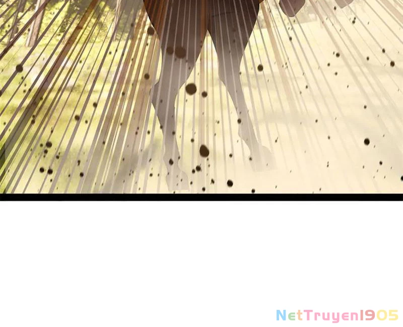 Chàng Rể Mạnh Nhất Lịch Sử Chapter 305 - Trang 2