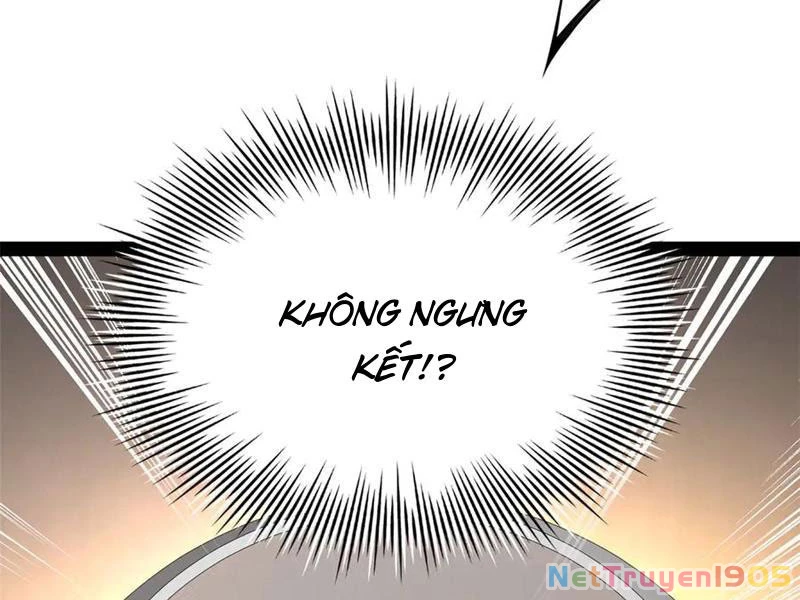 Chàng Rể Mạnh Nhất Lịch Sử Chapter 315 - Trang 2